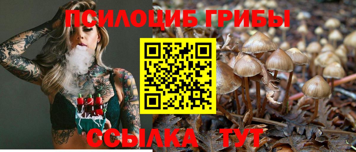 Галлюциногенные грибы Psilocybe Стрежевой